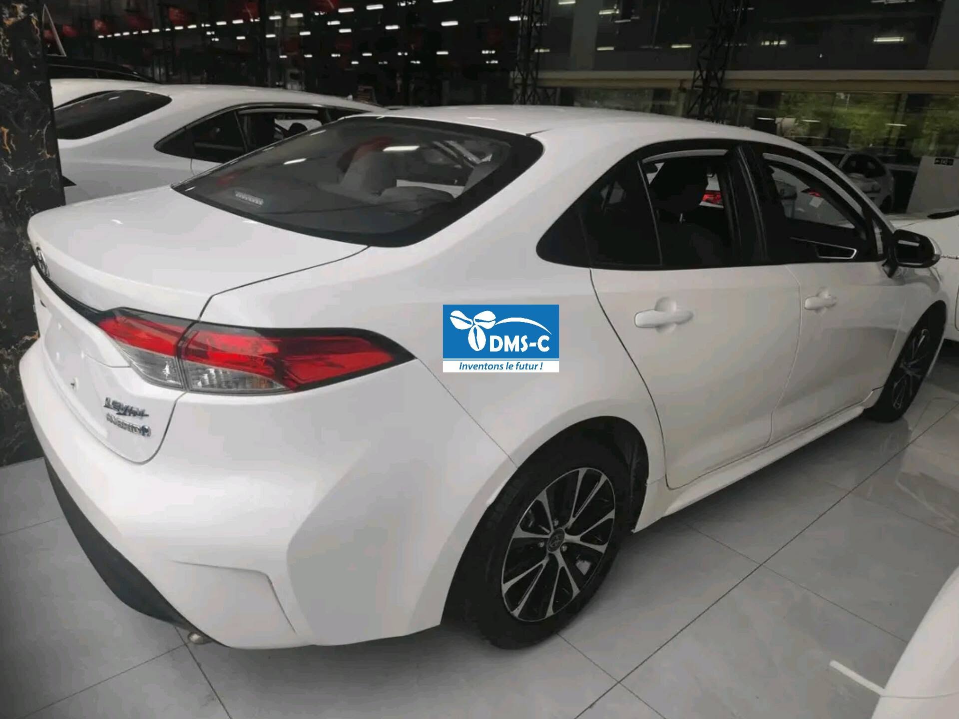 Levin 2023 vue 1