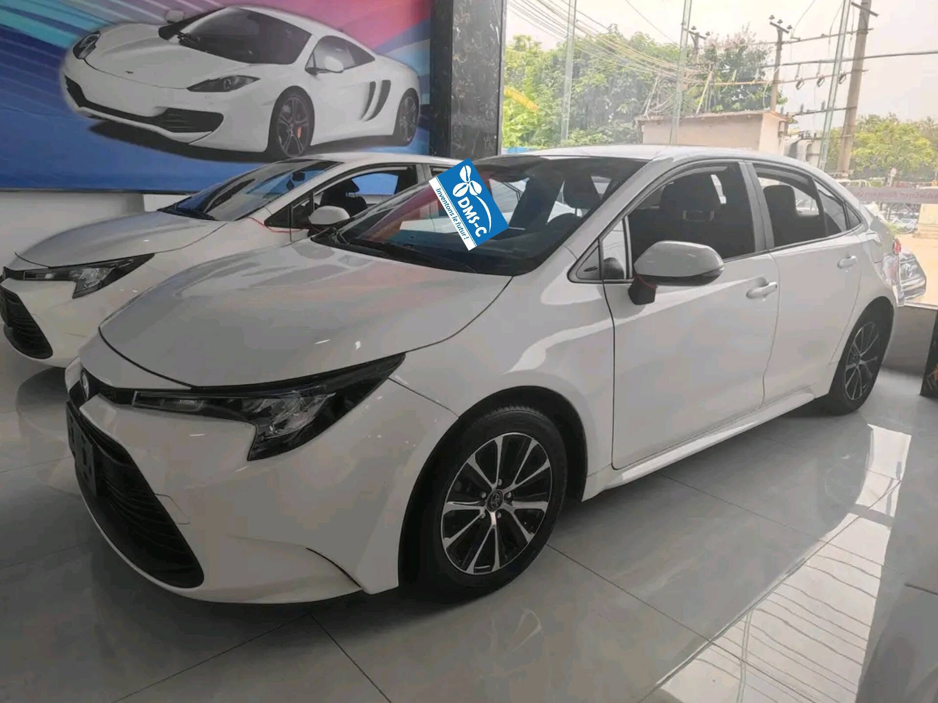 Levin 2023 vue 2